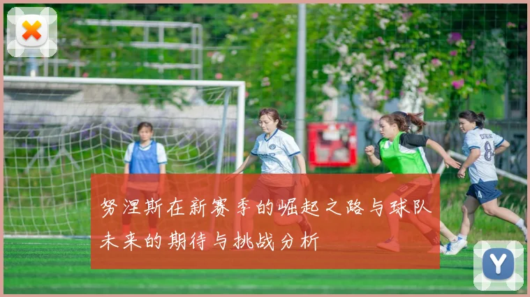 努涅斯在新赛季的崛起之路与球队未来的期待与挑战分析