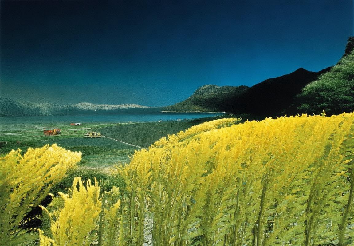 芬兰VS冰岛：足球对决背后的战术智慧与精彩瞬间(图2)